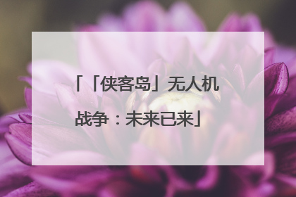 「侠客岛」无人机战争：未来已来